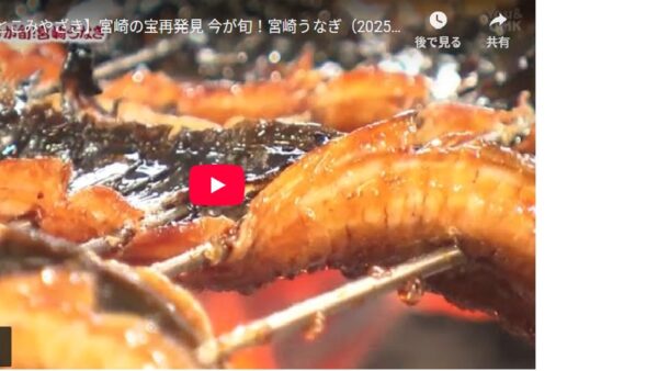 宮崎のUMKで味鰻を特集して頂きました